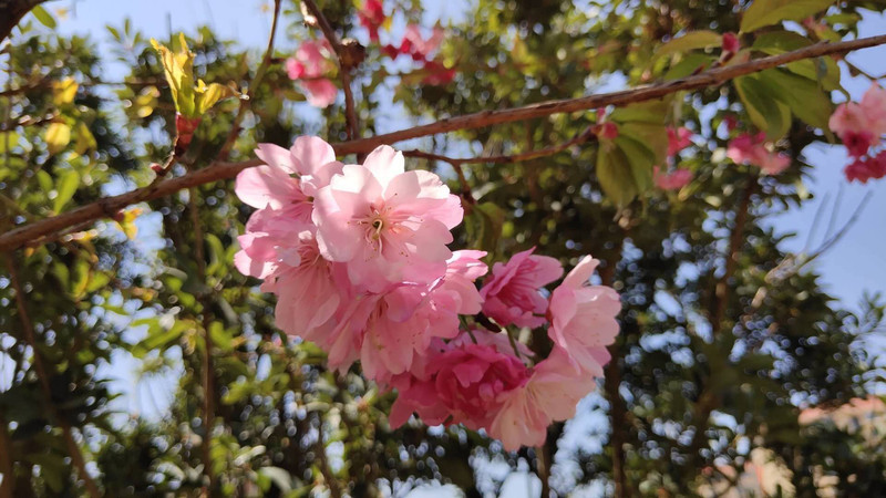 昆明旅游攻略住宿酒店自由行推荐,昆明市中心旅游攻略住宿酒店推荐