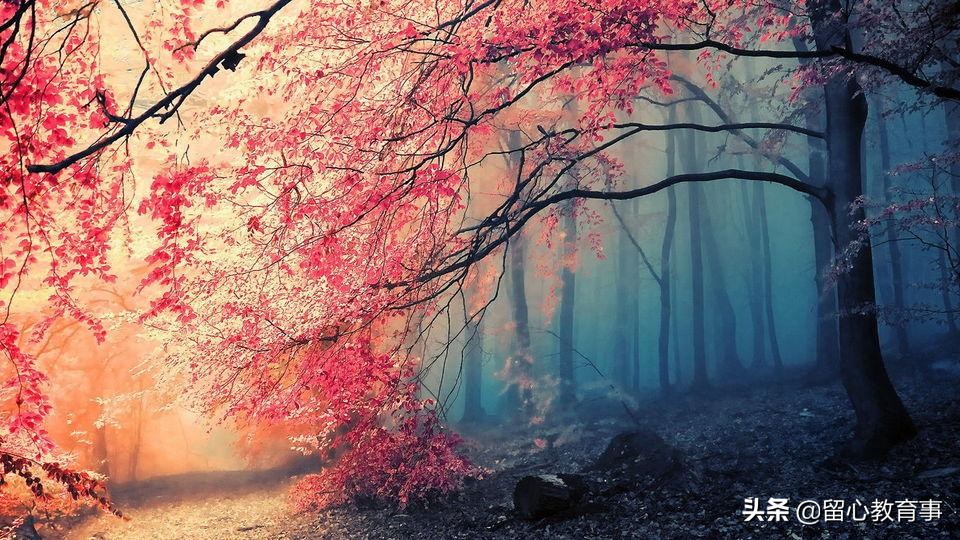 四下数学小数点加减法每天一练,四下数学第六单元小数试卷答案