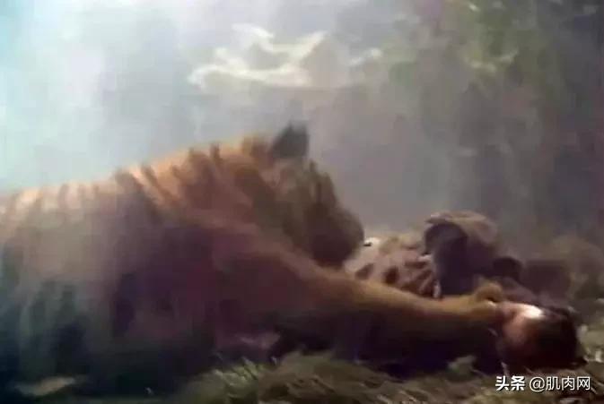 52岁丁海峰再演武松视频,武松丁海峰肌肉