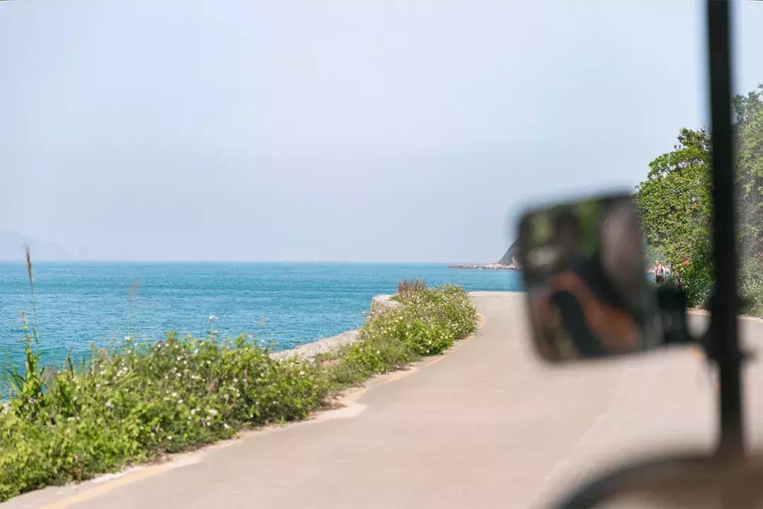 大鹏杨梅坑景区,杨梅坑旅游景点