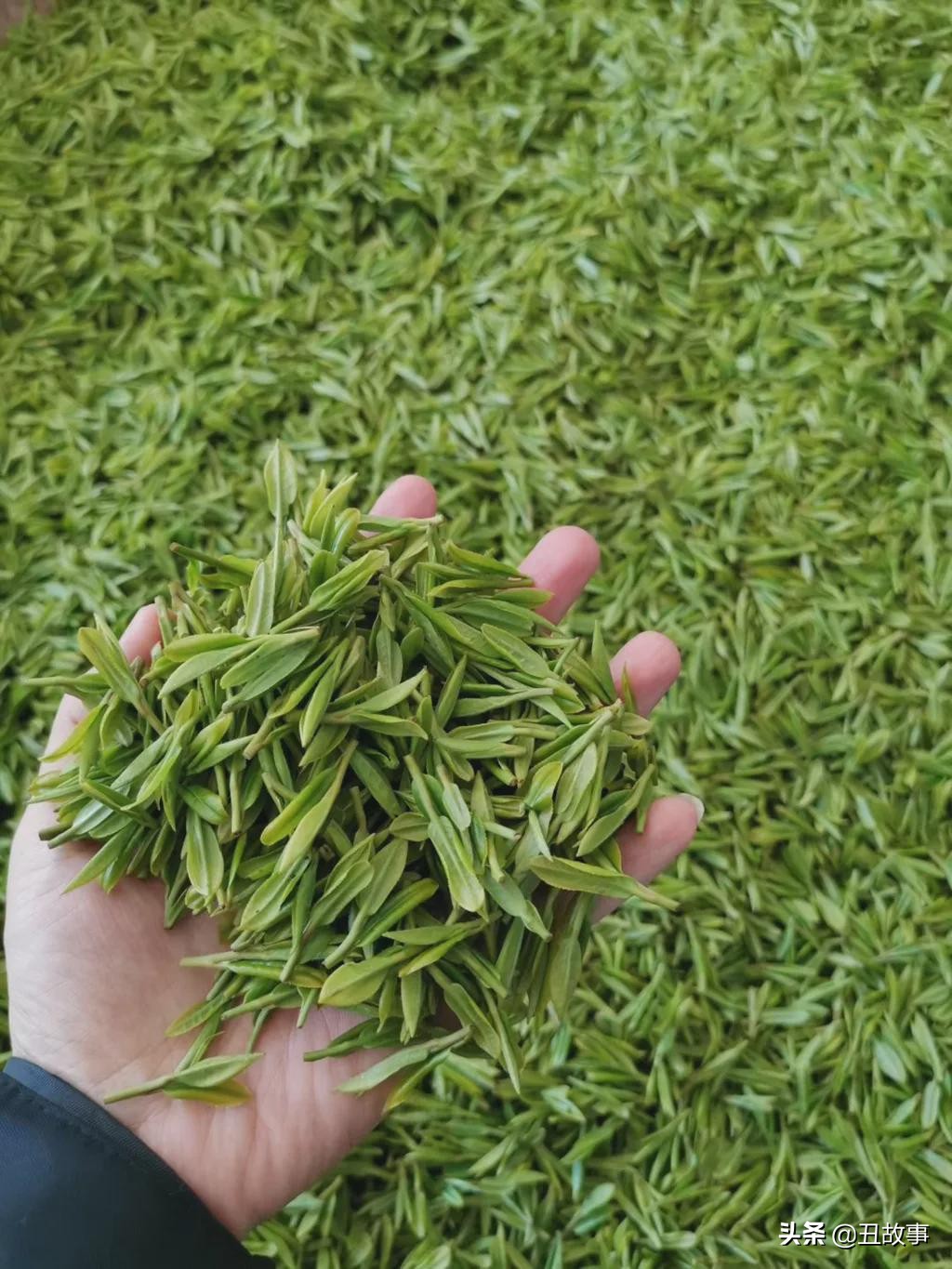 曾经的学渣考上清华大学,曾经的学渣逆袭