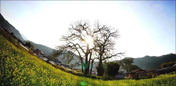 韶关最值得去的古村,韶关私藏了一个粉墙黛瓦的古村落