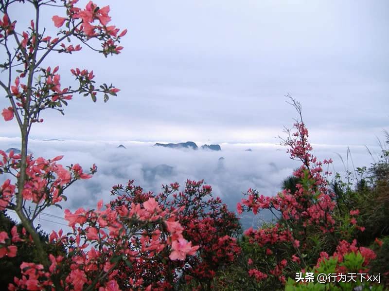 一览众山小的广西绝顶风光,一览众山小的绝美风景视频