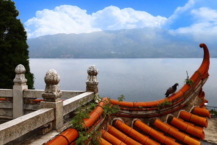 抚仙湖里的小岛,澄江抚仙湖孤山小岛怎么去