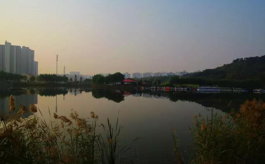 寸土寸金公园,天津值得一去的公园