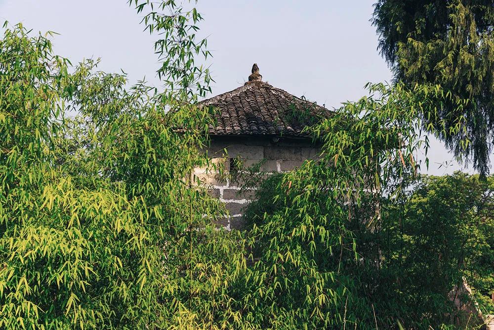 重庆市垫江县鹤游坪,垫江鹤游坪古镇