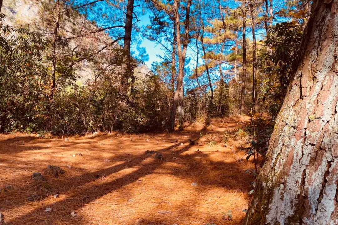 秋天的杭州自驾游,杭州秋冬自驾