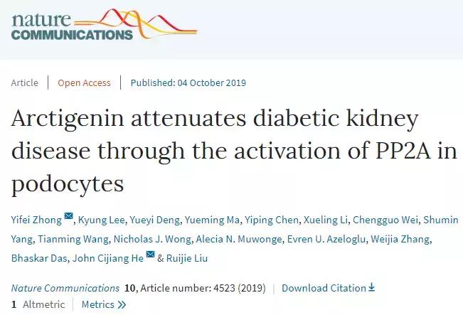 糖尿病肾病治疗新进展,糖尿病肾病最新研究