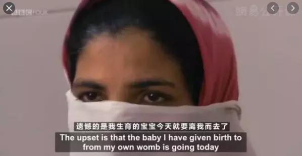 想“退货”的郑爽们：代孕不是代购