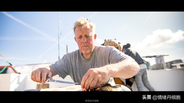 可以去玩一整天的地方,能玩一两天的地方