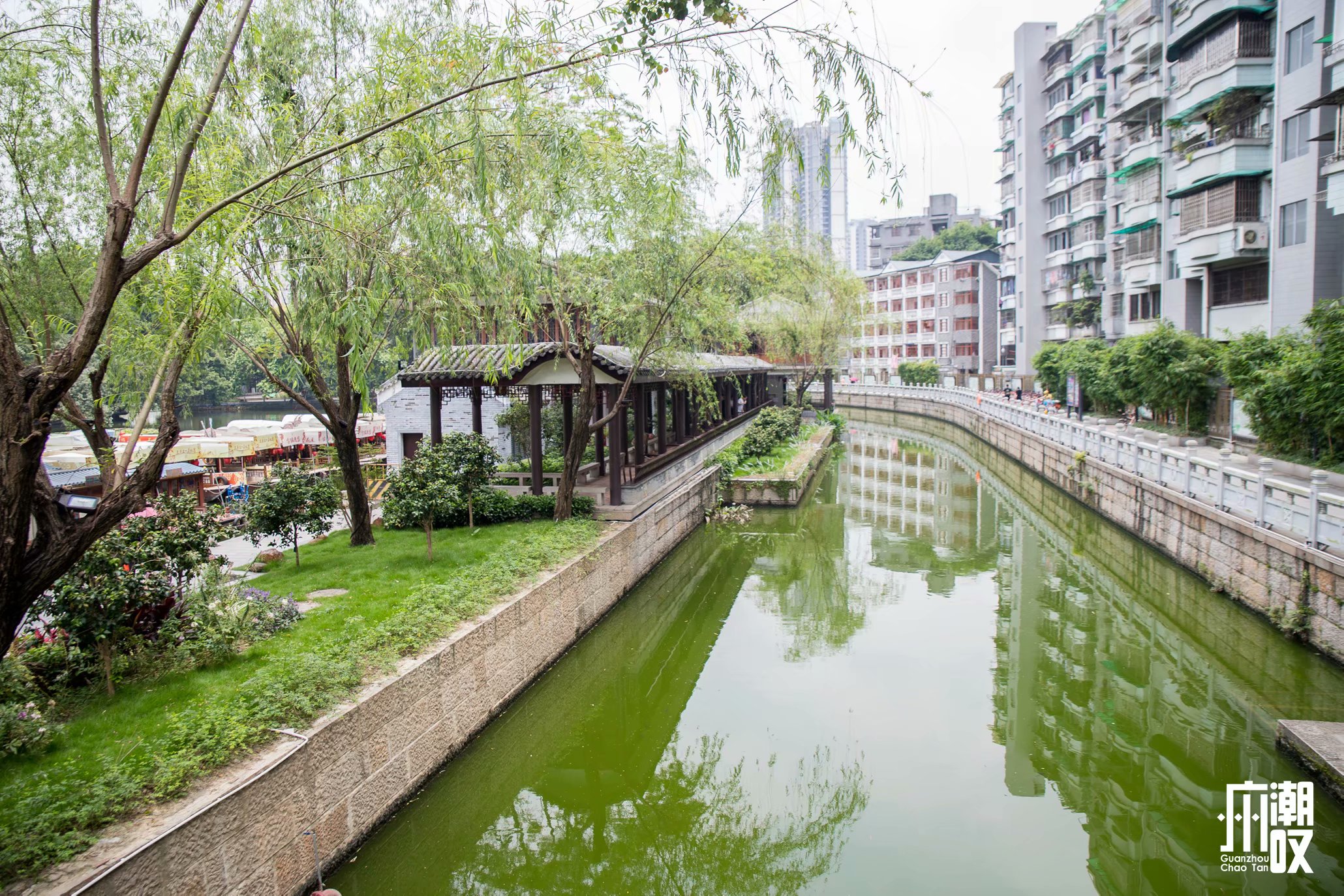 荔枝湾涌这条不足200米的街，50元吃遍西关地道美食！