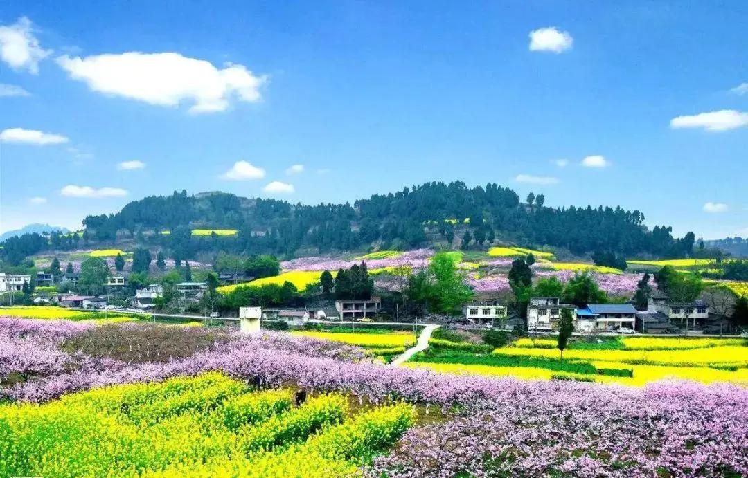 文案大全3000条模板,150000条爆款文案素材简短