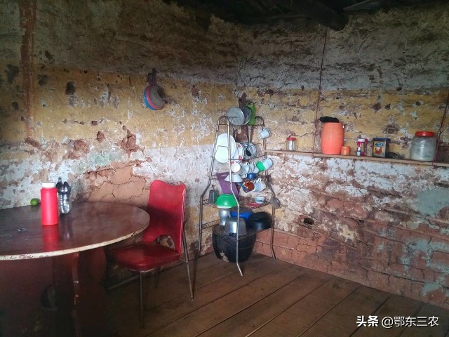 农村家里怎么防蛇,福州家里马桶里有蛇