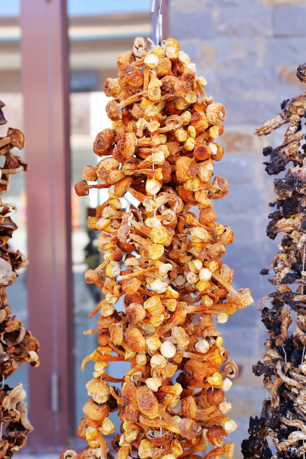 亚洲第一湿地在哪里,内蒙亚洲第一湿地