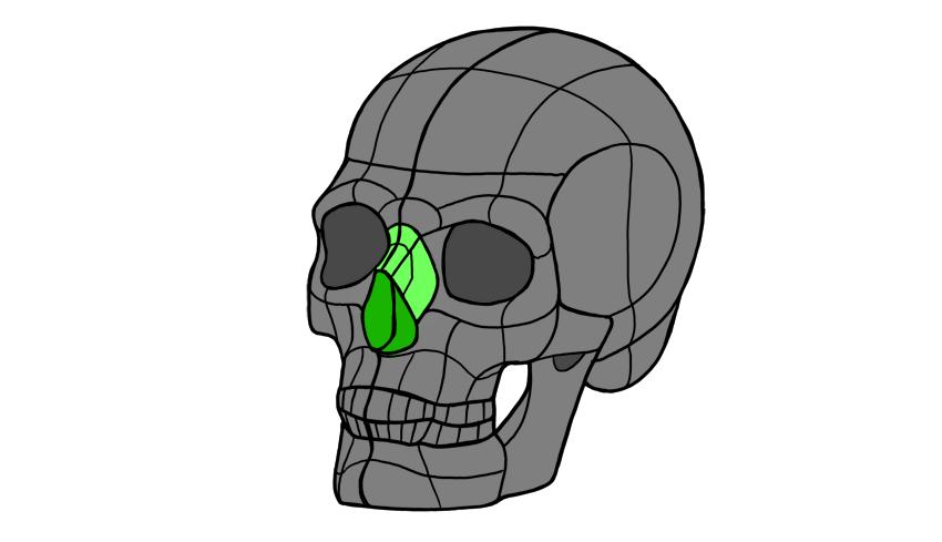 画鼻子怎么画好看,今天来教你怎么画鼻子