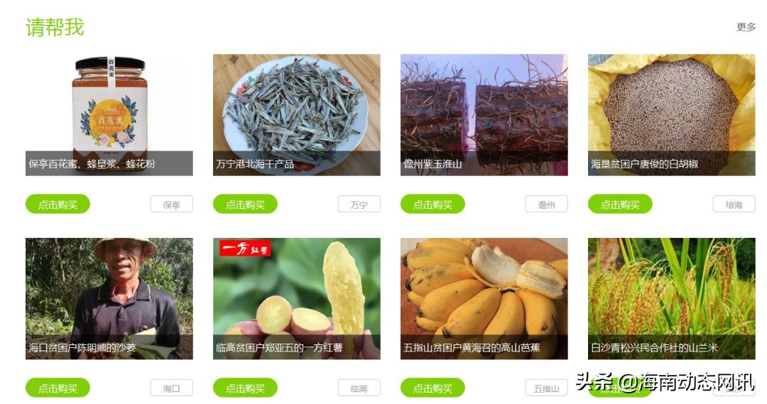 海南这个网站成为唯一获得2018网络公益年度项目大奖的单位~