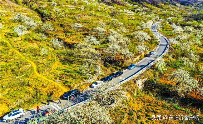 解码全面小康,解码乡村振兴新路径