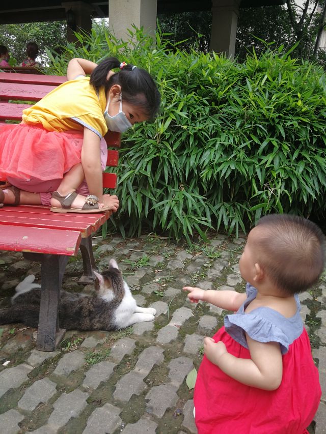 遛弯儿抖音女版,遛弯的少女