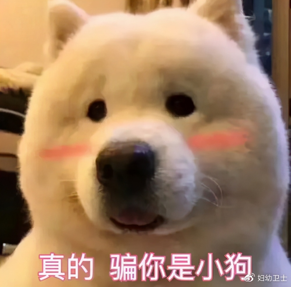 支原体感染怀孕还能治疗么,怀孕了感染了支原体感染能治疗吗