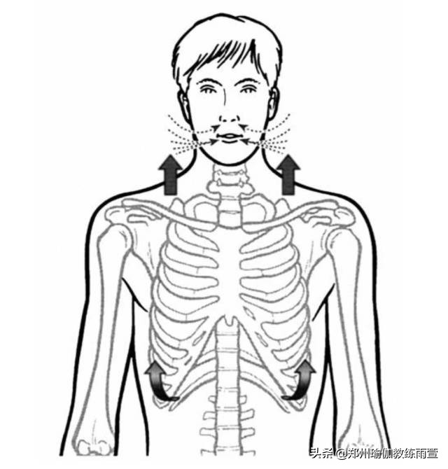 有肋骨外翻，锁骨窝凹陷，腰部疼痛的症状吗？你需要重新认识呼吸