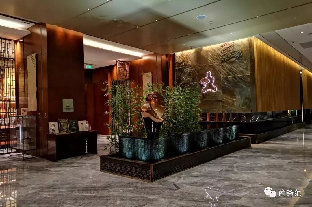 为什么戴妃这么美,戴妃为什么喜欢老佛爷