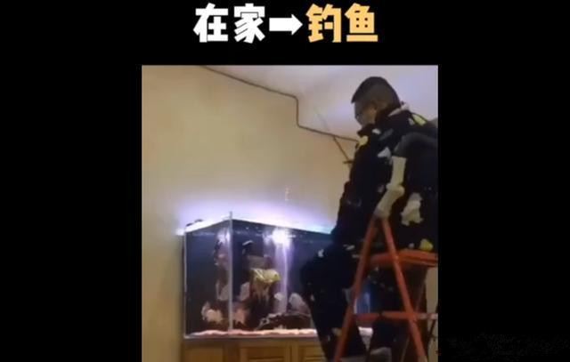 宅家小游戏亲子互动,亲子宅家互动小游戏3-6岁