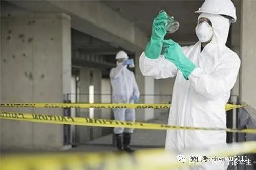 华生为什么总打夏洛克,华生被怼完整视频