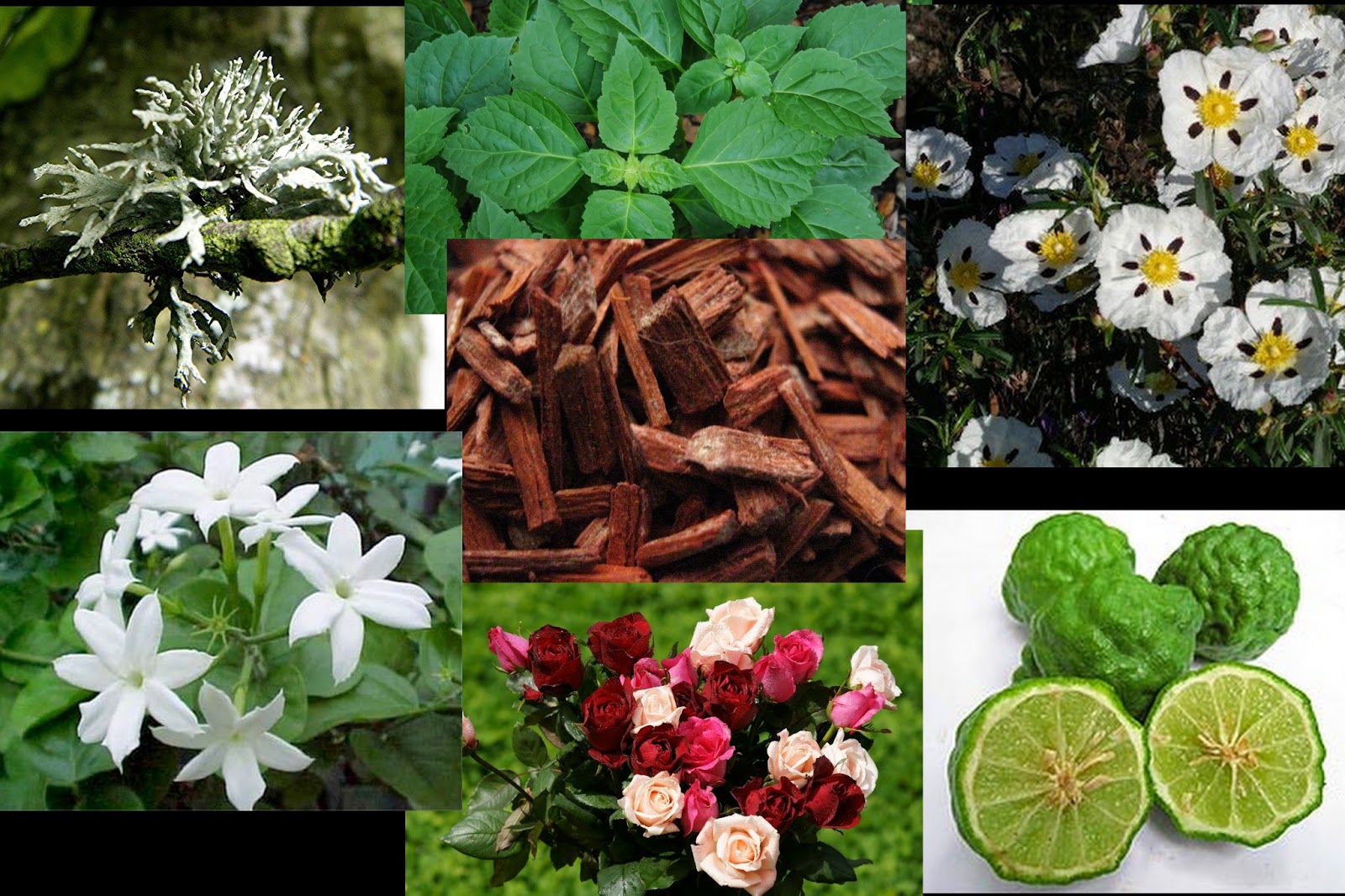 香水全攻略5分钟教你学会选香水,干货建议怎么穿才能get高级感