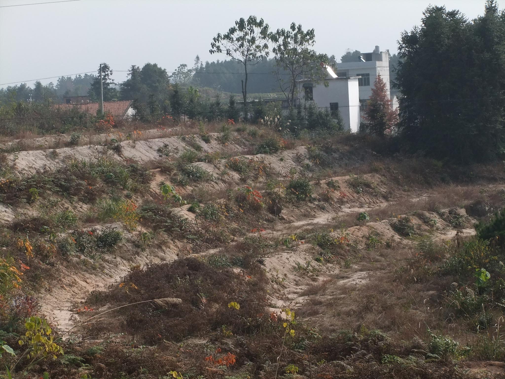 农村房子拆了户口应该怎么落户,进城落户房屋如何补偿