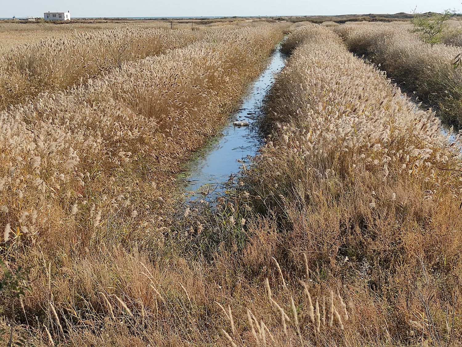 欣赏年画、邂逅大海、闲逛宜家，将生活过成诗与远方