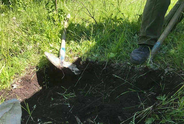 近年东北黑土地恢复现状如何,东北黑土地问题改善