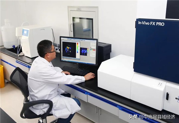 淮安市食管癌治疗,淮安市一院食管癌治疗成果