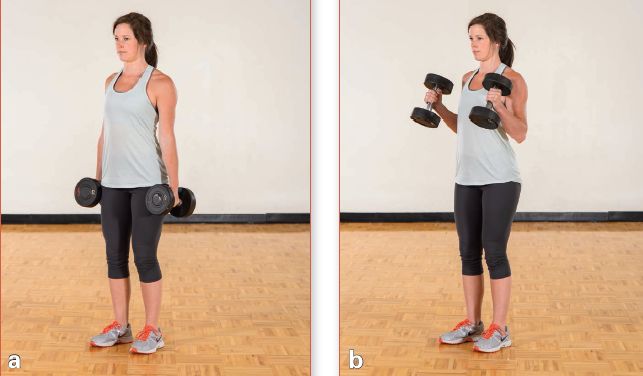 增肌一周各部位训练计划表,增肌训练计划每天练习不同部位