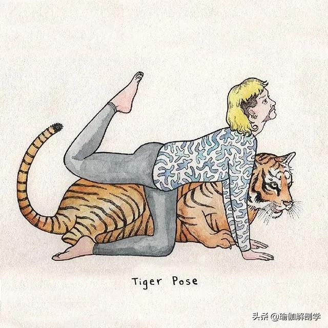 100张户外瑜伽唯美图片,各种动物瑜伽姿势图片