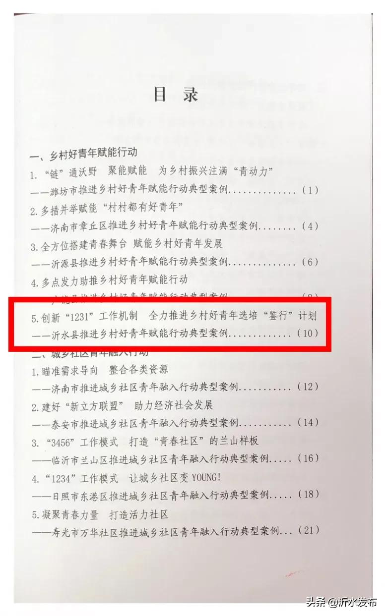 点赞！沂水团县委这项工作成功入选全省典型案例！