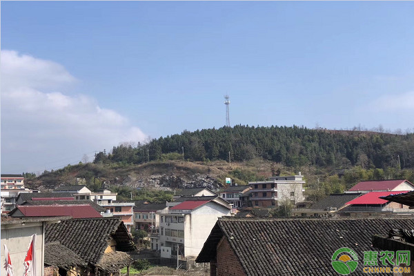 农村宅基地怎么确权才有效,宅基地确权确的是什么权