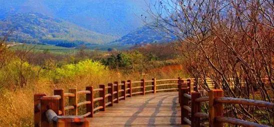 飞翔房车拉摩托,飞翔带上音乐去旅行