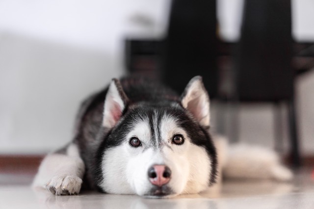 “说！那个女的是谁！？”“我公司刚招聘的一个员工……”其三