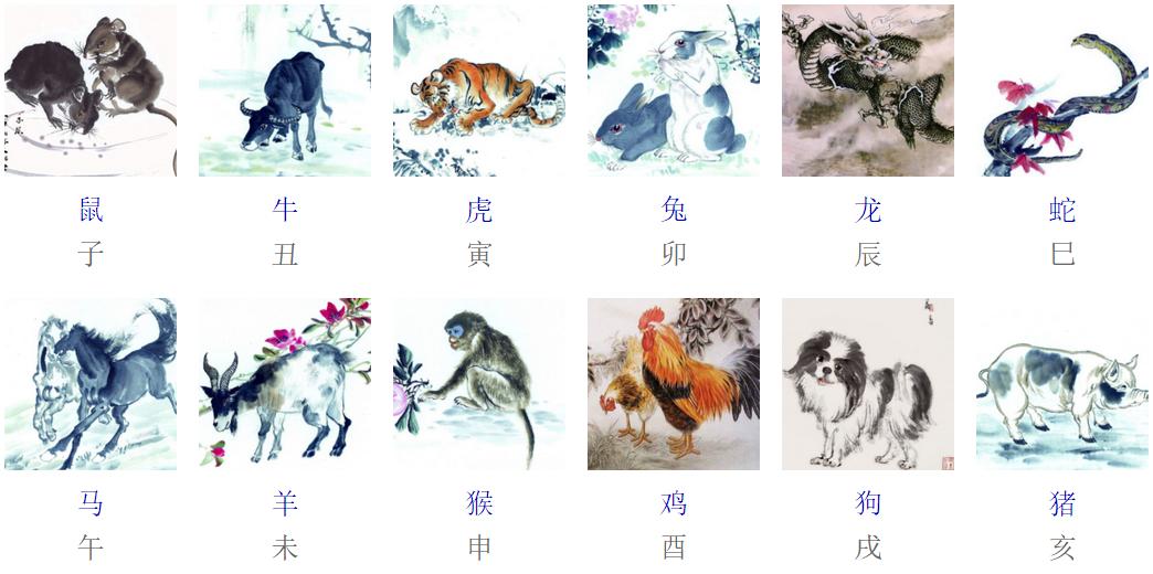 十二生肖是怎么排序的视频,十二生肖到底是怎么排序的