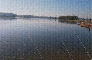 抛竿配合串钩的正确打开方式,抛竿串钩钓白条正确使用方法