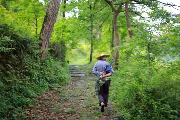 肇庆的历史文化遗产,探寻肇庆历史文化名胜