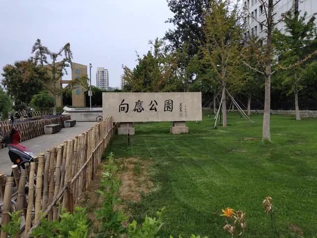 大连金州区，应该如何演义双城记？