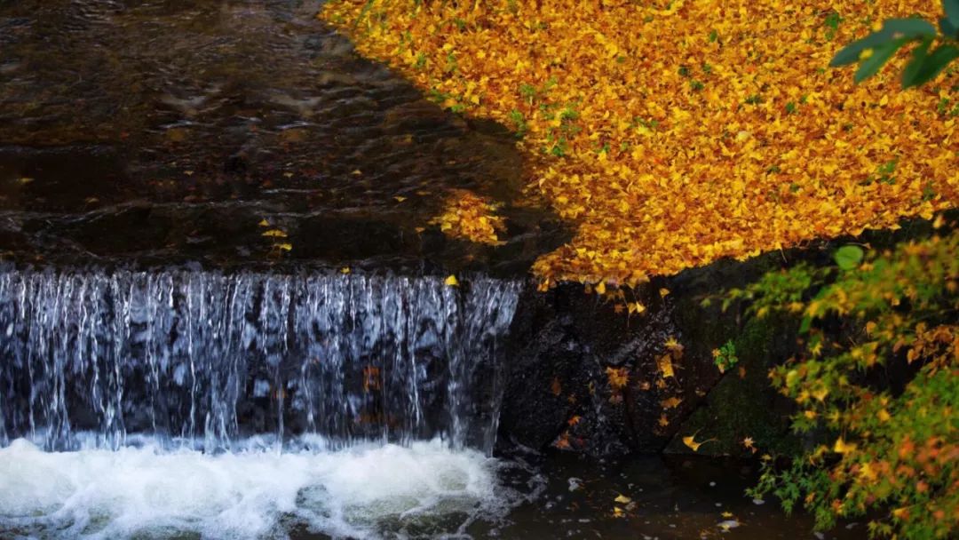 中华经典诵读作品100篇,古文经典诵读版