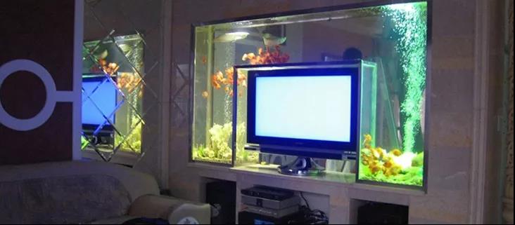 最经典的养鱼模式,养鱼大全100种