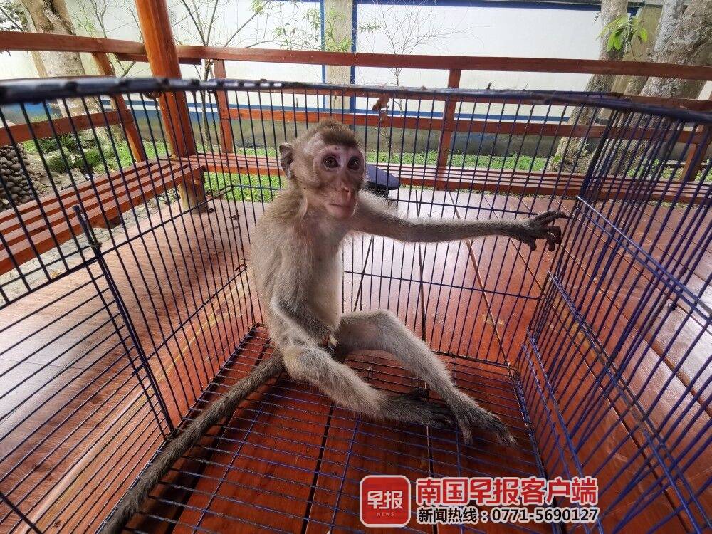 鏉戞皯瀹朵腑鍙戠幇璇″紓鐜拌薄,鏉戞皯瀹朵腑鍙戠幇璇″紓浜嬩欢