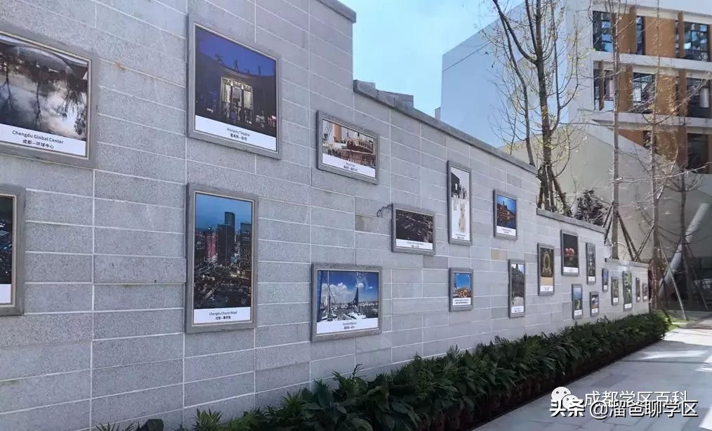 大源片区小学排名,高新区大源片区学校排名