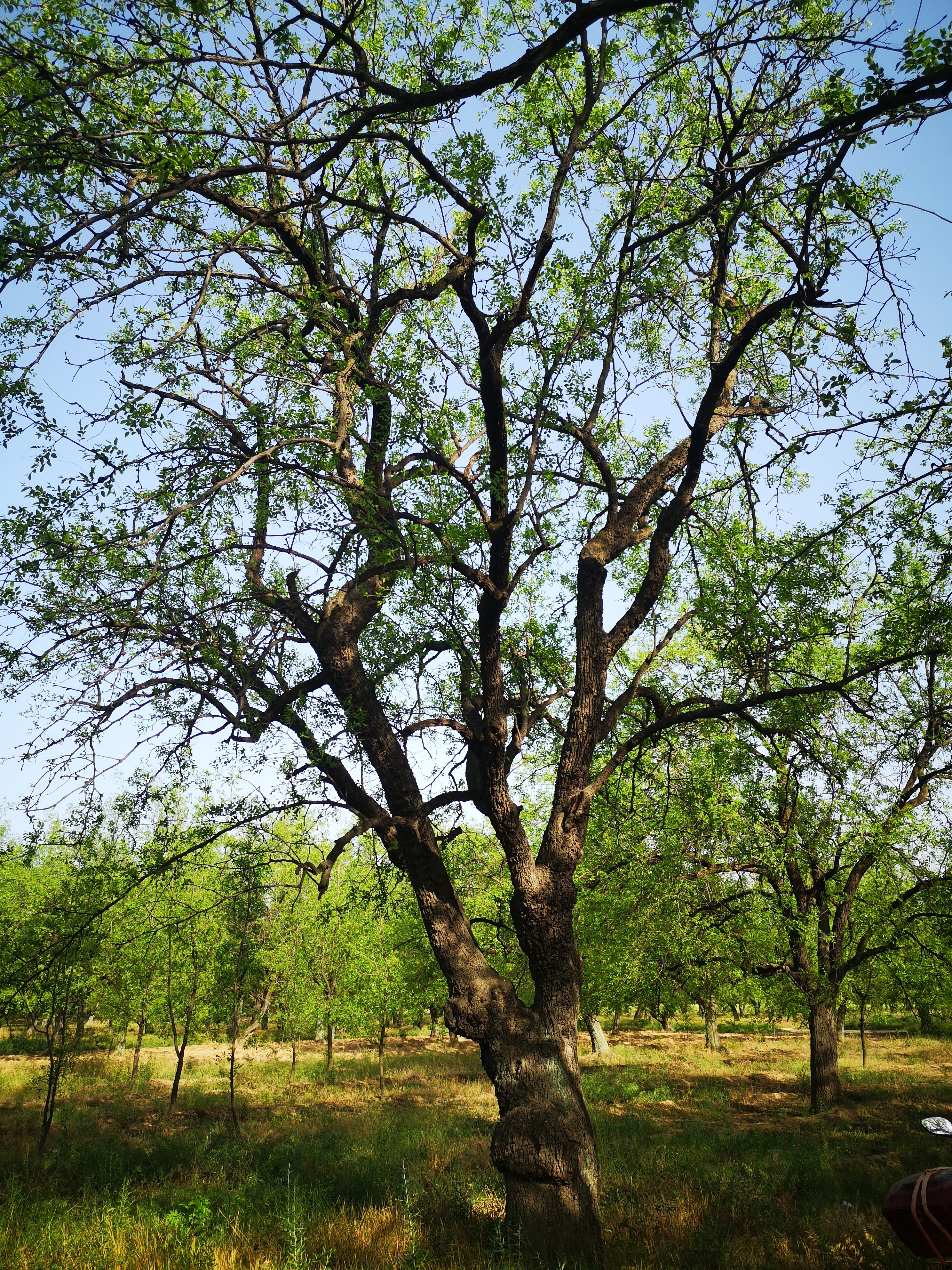 璐℃灒楠忔灒鐏版灒,璐℃灒鍥藉