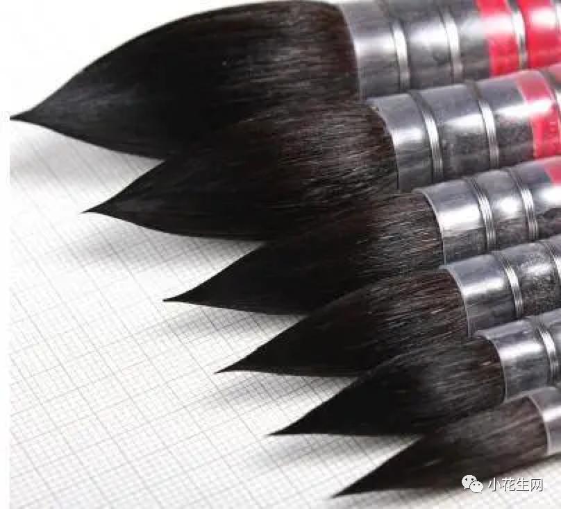 从零开始学绘画简单入门教程,从零开始学绘画必备的画