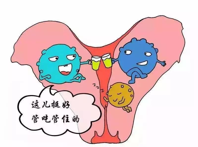 游泳女生容易得妇科病吗,游泳得妇科病的几率有多大