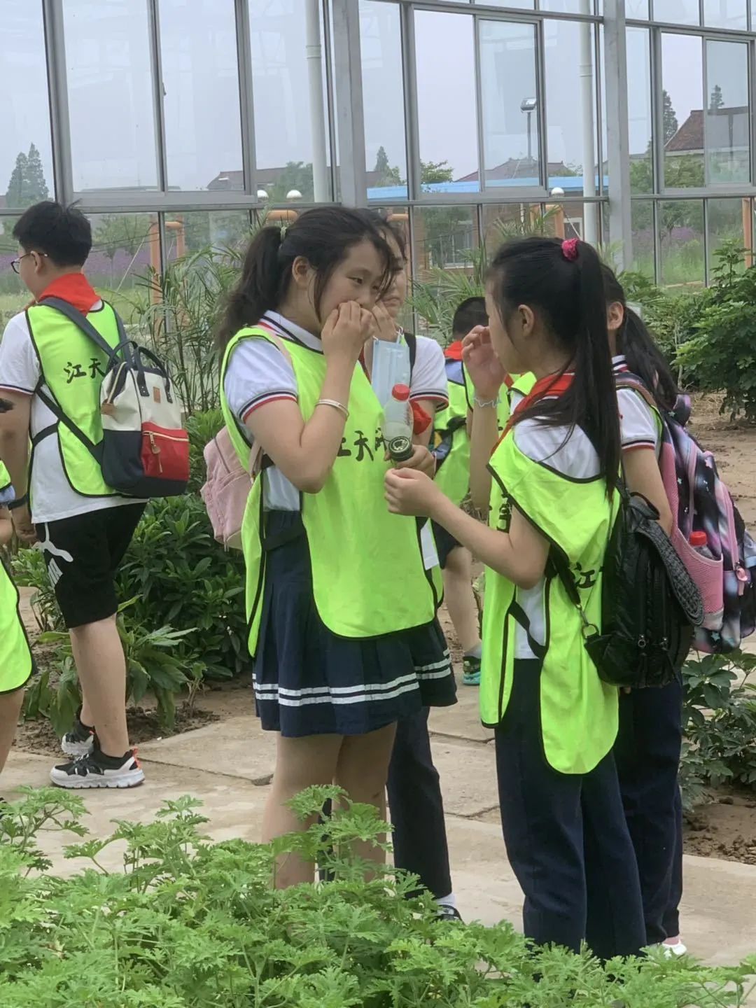 江苏省南通市启东市长江小学,启东长江小学研学